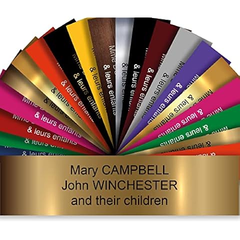 Letterbox Plate - PVC Adhesive Postbox Plate - Engraved And Customizable Plate - 10 x 2,5 cm - 19 Colours (Or Mat - Matt Gold) Cover