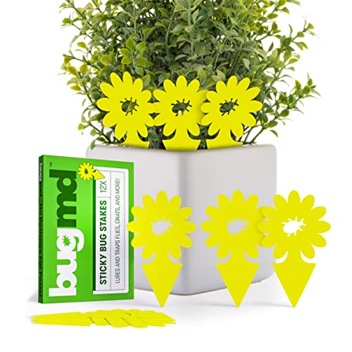 Bugmd Sticky Bug Traps (12 Pack) - Indoor Fruit Fly Killer, Fungus Gnat Killer, Plant Sticky Traps For Bugs, Yellow Sticky Fly Traps For Plants, Gnat For Plants, Odorless #TOP5