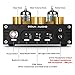 Douk Audio P1 Vacuum Tube Bluetooth Preamplifier, GE5654 Audio Preamp, Hi-Fi Headphone Amp, Stereo Wireless Receiver with USB DAC & APTX-HD for Home Theater Amplifier/Active Speaker