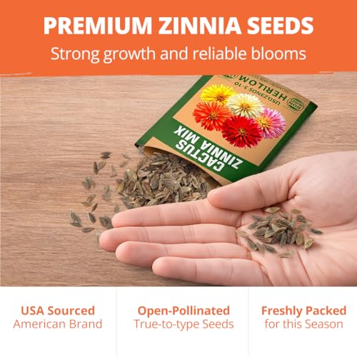 Image of HOME GROWN Cactus Mix Zinnia Seeds, 1300 Seeds (650 Seeds, 2 Pack), Zinnia elegans