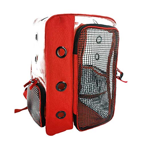 Portable del Gatto dell'animale Domestico del