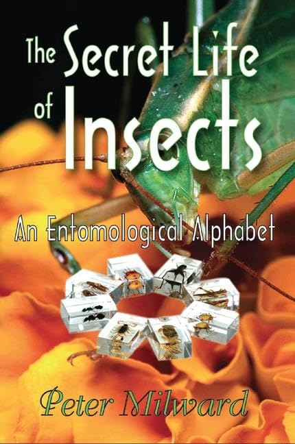 The Secret Life of Insects: An Entomological Alphabet      1st Edition
