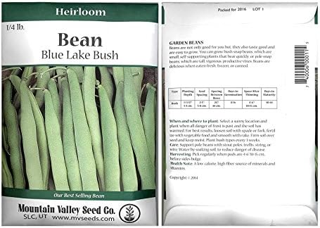 Amazon.com : Blue Lake Bush Bean 274 Seeds - 18 Gram Packet - Non-GMO ...
