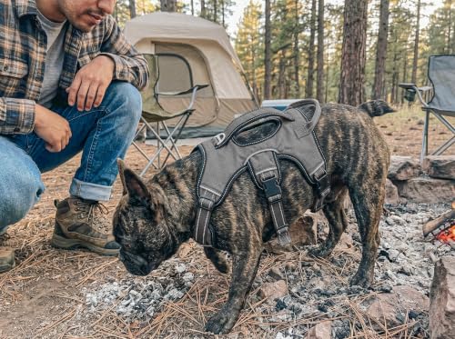 Image of Tuff Pupper Updated for 2022 - Tracker No Escape Dog Harness | Dual Escape Proof Leash Attachments | 5 Point Adjustable Fit Harness for Dogs | Padded Dog Harness for Comfort | Handle Dog Lift Harness