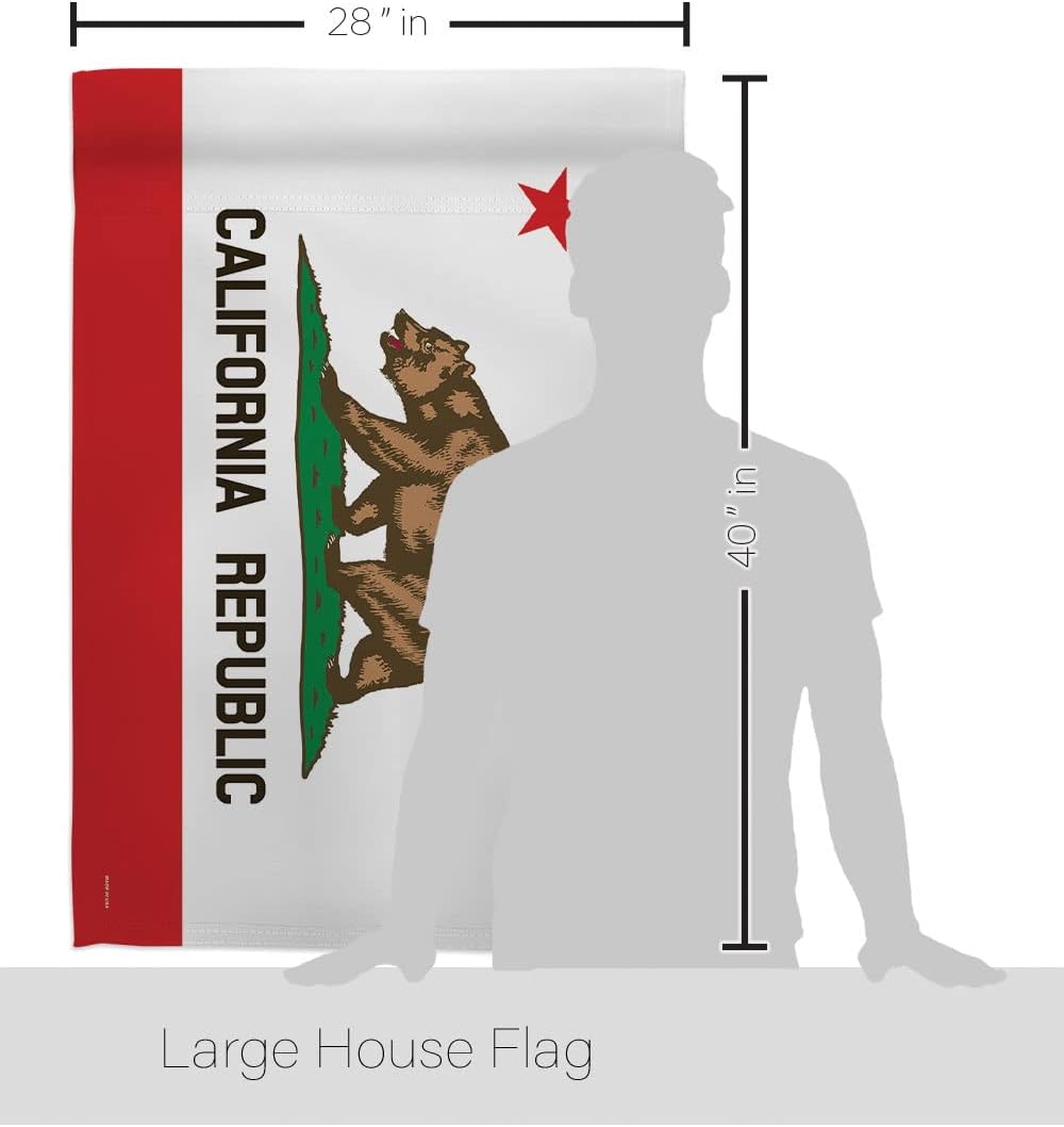 California State House Flag Home Decor CA Tapestry Wall United States Decoration Banner Small Patio Porch Lwan Garden Americana Outdoor Yard Signs American Gift Made In USA