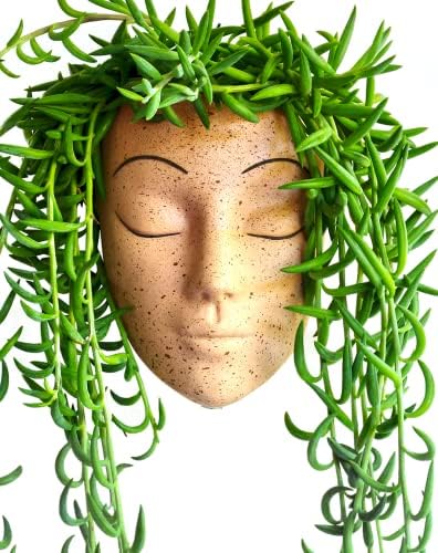 Bossa Linda Face Wall Planter | Unique Face Pots for Plants Indoor Wall Decor | Face Wall Planters for Outdoor Plants, Cute Plant Pots, Succulent Cactus Head Planter Pot - Tranquilo Design (Bisque)