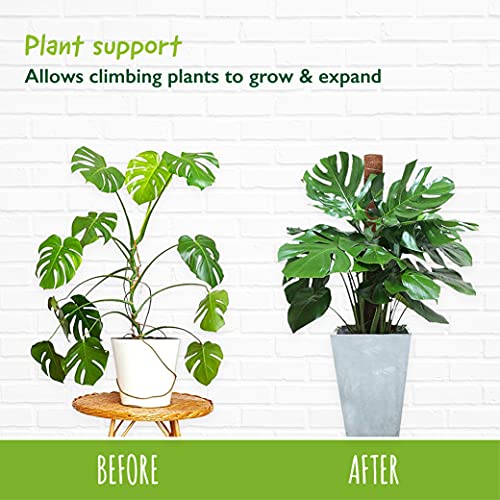 Mospaal mosstoken kokos totem paal voor planten, mospaal voor monstera en kamerplanten, ondersteuning voor tuin planten… - Image 7