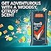 Degree Men Antiperspirant Deodorant Adventure Freshness and Odor Protection Deodorant for Men 2.7 Oz, (Pack of 4) Woodsy, Stick