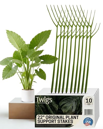 Plant Support Stakes for Indoor & Outdoor Plants, 22" (10 pack) – Twigs GA