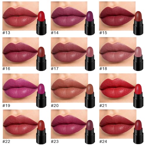 Image of evpct 12Pcs Mini Pills Lipstick Capsule Set for Women Waterproof Long Lasting, Dark Ruby Deep Wine Mauve Red Purple Nude Brown Matte Small Magic Permanent 24 Hour Lipstick Bulk Samples 02