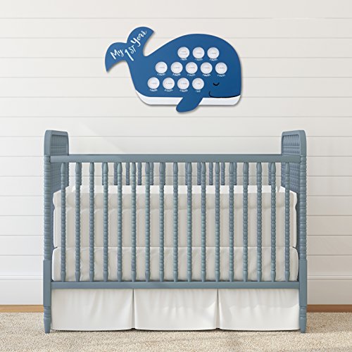 Baby Aspen My First Year Whale Hanging Frame | Timeline Picture Frame For Babies By Month #TOP1
