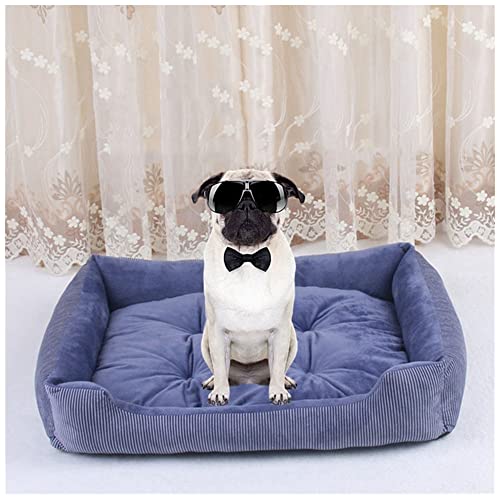 Juelle Cama Para Perros Pequeños - Almohada Para Perros Pequeños, Funda Extraíble, Lavable A Máquina Cama Mullida, Sofá Para Perros XXS-XL (Tamaño: XS - 60 X 50 Cm, Azul Cielo