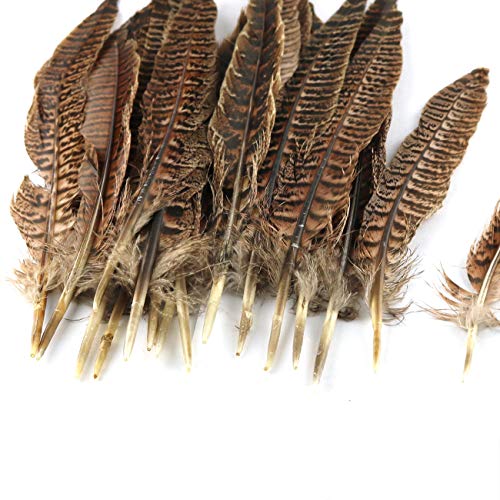 Lrong 20Pcs 8-12Inch (20-30 Cm) Natural Pheasant Tail Feathers For Crafts Pheasant Tails, Diy Decorative Items #TOP2