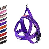Hundegeschirr Gepolstert Größe XS (Gurt 38cm - 46cm)
