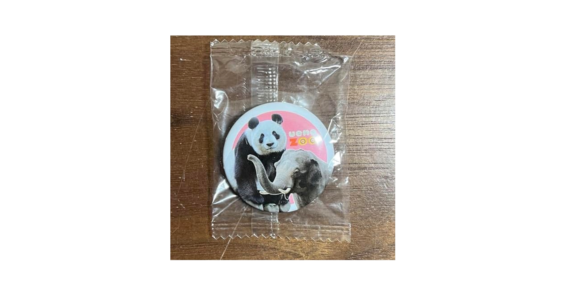 Amazon | 上野動物園 パンダ ゾウ 缶バッジ グッズ z | バッジ