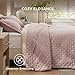Bedsure Quilts Queen Size - Dusty Rose Bedspread Queen Size & Lightweight Comforter, Country Cottage Coverlet with Clover Pattern, Ultra Soft All-Season Bedding, 90 x 96 Inches