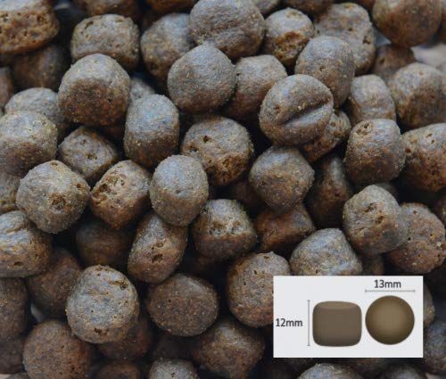 Wildfang-Dry-Dog-Food-6-kg-I-Grain-Free-Dog-Food-Salmon-with-Sweet-Potato-Vegetables-I-Junior-Puppy-Dry-Food-without-Grain-I-Dry-Food-for-Dogs-without-Artificial-Additives