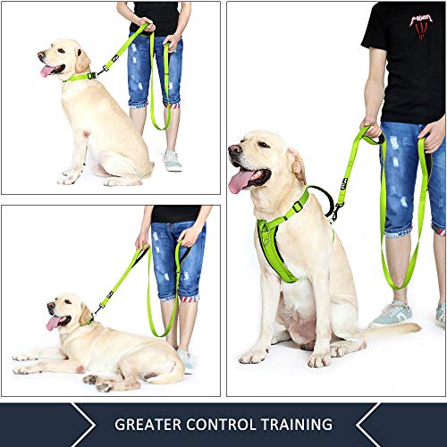 Image of Plutus Pet Double Handle Dog Leash, 6 FT Long, for Medium Large Dogs