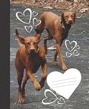 Cute Hearts & Funny Floppy Eared Hound Dogs Blank Wide-ruled Lined School Composition Notebook (Cool Dog covers : Natures School Supplies)
