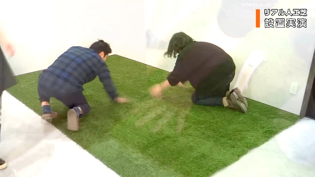 値下げ！人工芝【引き取り限定】【近場配送可能】 値下げ！人工芝【引き取り限定】【近場配送可能】 - メルカリ