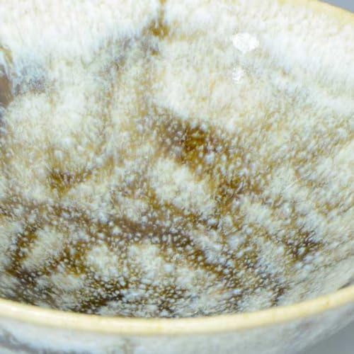 京焼 清水焼 盃 万華油滴 まんげゆてき GYM349