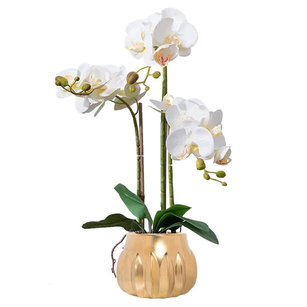 MYUYEE Artificial Flowers Faux Orchids Gold Vase Artificial Phalaenopsis Flowers Potted Real Ower Arrangement Artificial Flowers Lifelike