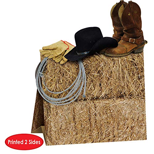 3-D Western Centerpiece Party Accessory (1 Count) (1/Pkg) #TOP3