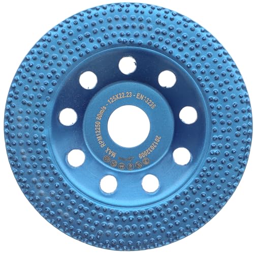 PRODIAMANT Profi Diamant-Schleiftopf 125 mm x 22,2 mm – Für Betonfarbe, Anstriche, Fassadenfarbe & Farbreste auf...