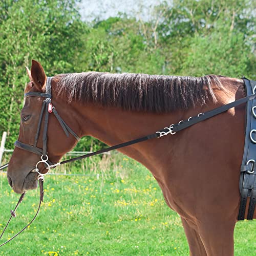 Harrison Howard Ferragens resistentes seção frontal elástica rédeas laterais de fácil ajuste preto