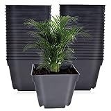 Set of 40, Small Black Plastic Pots. Nursery Pots Measures 3.93 Inch Width, 3.35 Inch Height, Square...