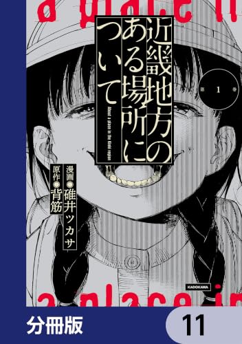 近畿地方のある場所について【分冊版】　11 (単行本コミックス)の表紙