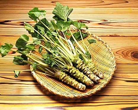 New Fresh 50pcs Horseradish Plant Seeds Generic