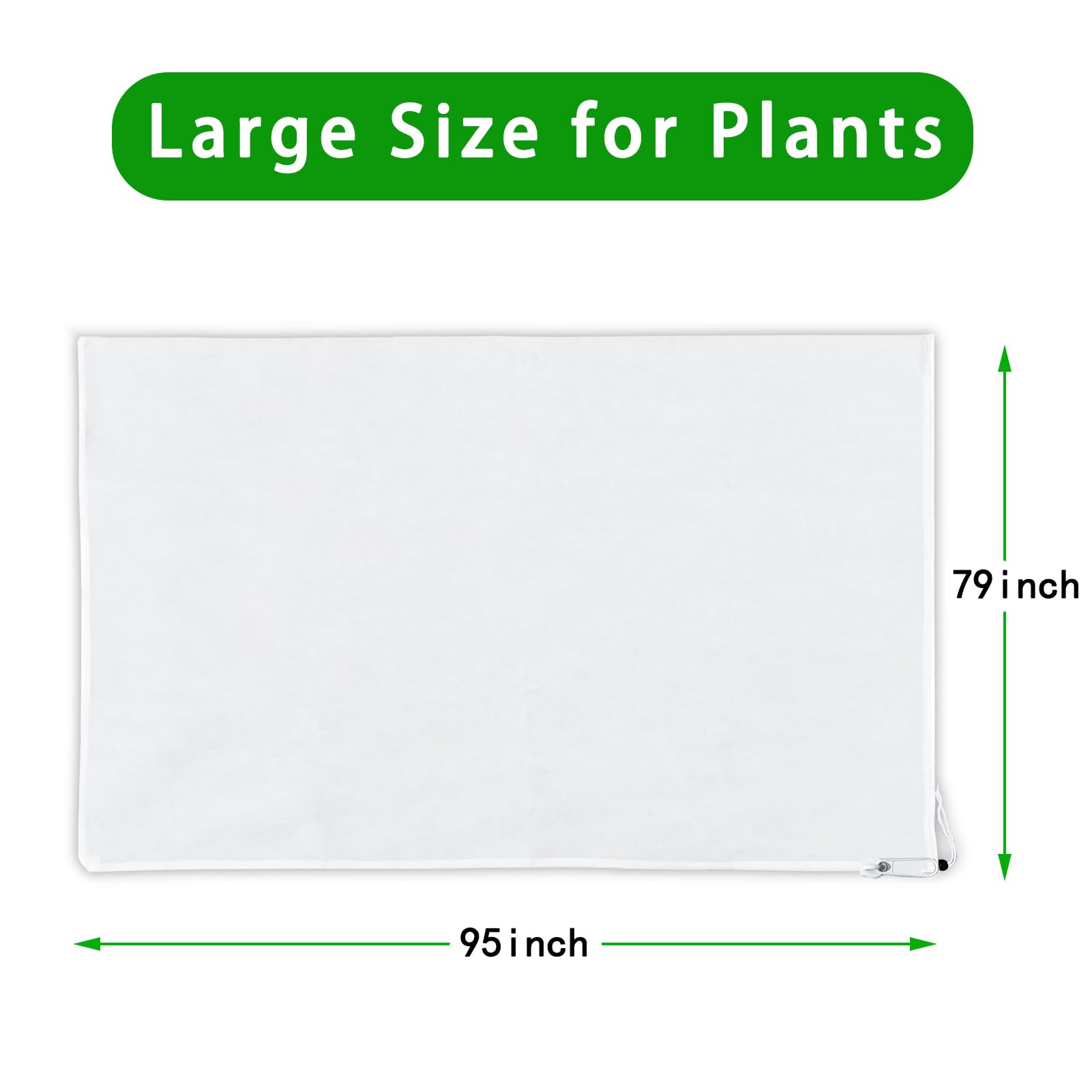 https://m.media-amazon.com/images/I/51CI9Td8RzL.jpg
