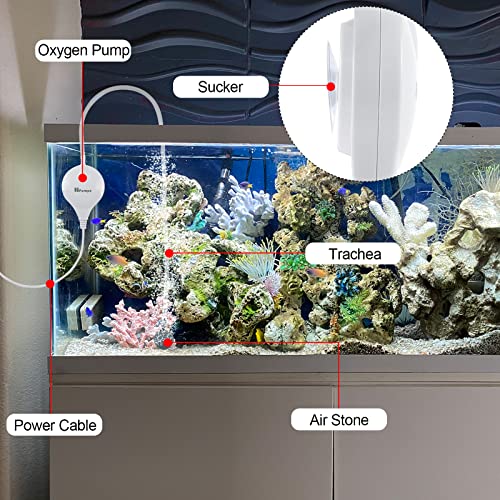 Xcsaide Pompa ad Aria per Acquario, Pompa di Ossigeno Super Silenziosa, Rumore Meno di 38dB 1.8W Pompa di Ossigeno Potente con Ventosa a Tubo d'Aria con Pietre d'Aria per Acquari Nano, Acquari Nano - Image 4
