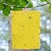 BestTrap 20-Pack Dual-Sided Yellow Sticky Traps Flying Plant Insect Such as Fungus Gnats, Whiteflies, Aphids, Leafminers - (6x8 Inches, Included 20pcs Twist Ties)