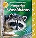 Produktbild Neugierige Waschbären (Spannende Natur)