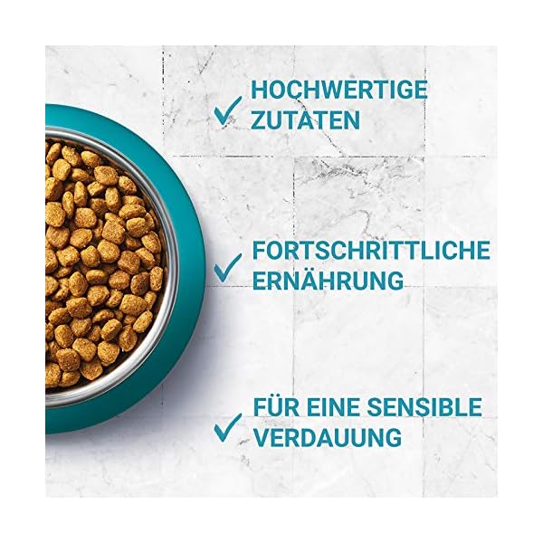 PURINA ONE BIFENSIS Urinary Care Katzentrockenfutter: reich an Huhn & Weizen, für gesunde Harnwege, Nieren, Haut, schönes Fell, 6er Pack (6 x 1.5 kg) – Bild 5