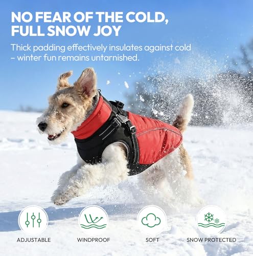 KONVINIT Warme Hundejacke Wasserdicht Hundemantel für Kleine und Mittelgroße Grosse Hunde Winter Hundemantel mit Geschirr Hund Wintermantel mit Reflexstreifen und Bauchschutz,Size L