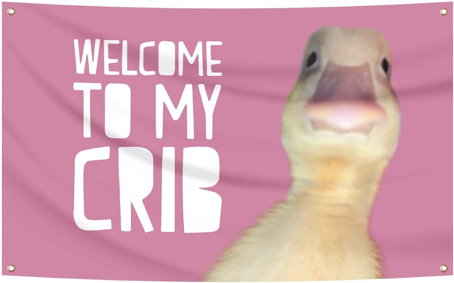 Welcome to My Crib Flag Hip Hop Sunglasses Dizzy Duck Funny Banner For Room Durable Man Cave Wall With Brass Grommets For College Dorm Room Decor (D12)