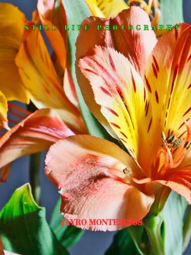 STILL LIFE PHOTOGRAPHY: Eternal Moments: The Beauty of Static Life