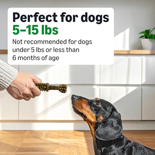 Image of Amazon Basics Dental Dog Treats to Help Clean Teeth & Freshen Breath - Tiny (5-15 lbs), Unflavored (Previously Wag) (Pack of 2)