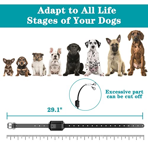 Sowone Electric Fence For 2 Dogs, 2023 Wireless Dog Fence System With Ip67 Waterproof Rechargeable Electric Training Collar, Invisible Fence Range 700Ft For Small Medium Large Dogs #TOP3