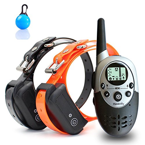 Havenfly Collar de Adiestramiento para Perros à Distance pour Chiens Avec bip, Vibration et lumière, Rechargeables et imperméable à l'eau e-Collier Formateur pour 2 Chiens