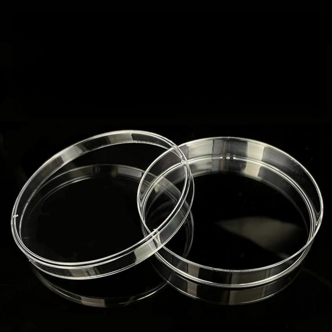 Hochtemperaturbeständige Quarzglas-Probenbox – Präzisionslaborinstrument, Außendurchmesser Φ30 mm–150 mm, 1 Stück | 150mm