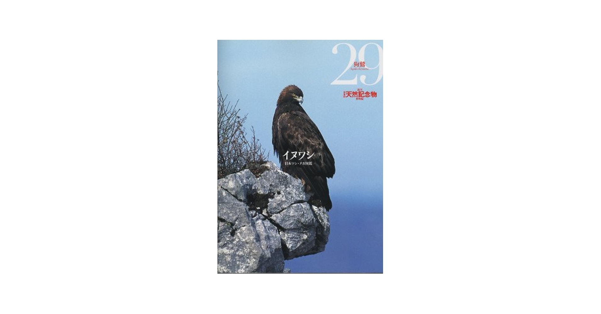 シリーズ日本の鳥を見てみませんか ニホンイヌワシ 森林の国に生きる [DVD] Amazon.co.jp: シリーズ日本の鳥を見てみませんか ニホン