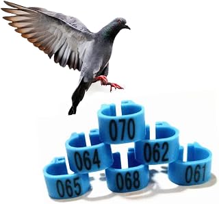 Anillo para Pata de Aves de Corral, Clip para Correa para pie de codorniz, se Adapta a Pollitos, gallos en Miniatura (10 Colores) 001-400 Azul