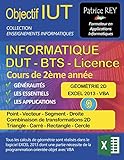  DUT informatique - géometrie 2d (tome 9): avec excel 2013 et vba