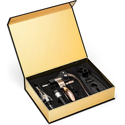 Corkscrew Wine Bottle Opener - 6 Piece Wine Gift Set with Stand, Wine Aerator, Foil Cutter, Bottle Stopper Vacuum Pump, & Extra Spiral Part + Luxury Gold Gift Box