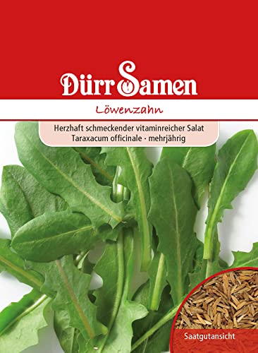 Löwenzahn Samen Löwenzahnsamen ca 100 Korn Heilkräuter Kräutersamen Heilpflanze Kaninchenfutter Saatgut Balkon Garten Hochbeet Kübel Dürr Samen Löwenzahn Samen Löwenzahnsamen ca 100 Korn Heilkräuter Kräutersamen Heilpflanze Kaninchenfutter Saatgut Balkon Garten Hochbeet Kübel Dürr Samen