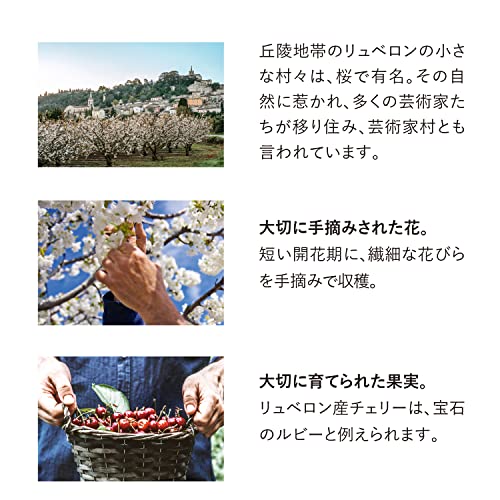 ロクシタン チェリーブロッサムの香り・口コミ・愛用芸能人の画像 50 ロクシタン チェリーブロッサムの香り・口コミ・愛用芸能人 香水画像 49